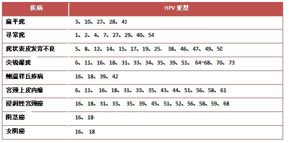 hpv亚型及相关疾病