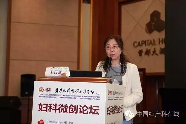 王丹波教授