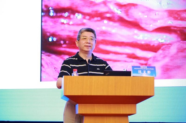 沈文彬教授
