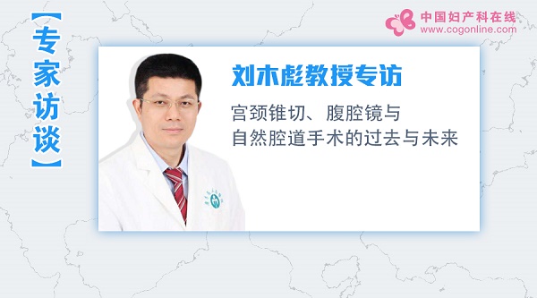 刘木彪教授