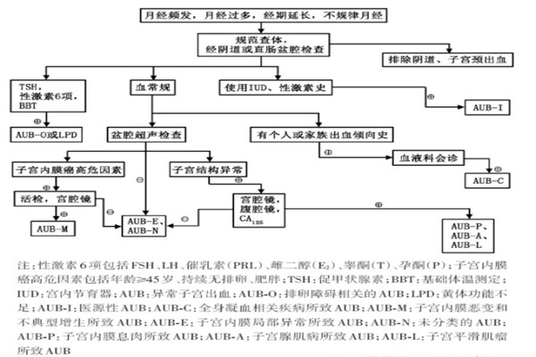2.月经频发,月经过多,经期延长,不规律月经的诊断:流程见图2.