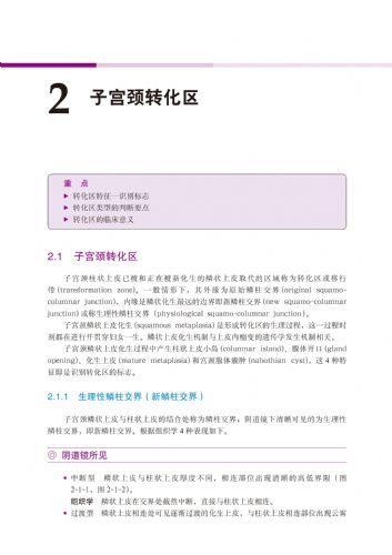 子宫颈转化区(1)--《子宫颈疾病——阴道镜图释》