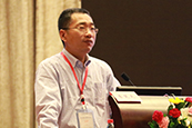 155A3371.JPG