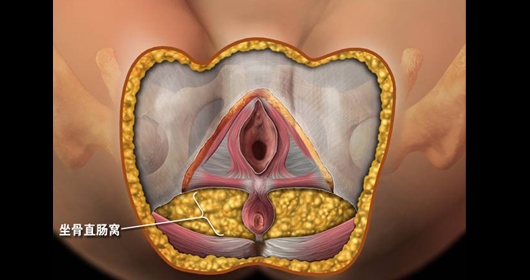 ����ֱ����