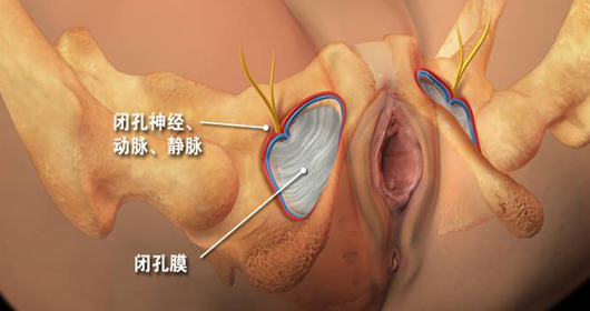 �տ���-����-����