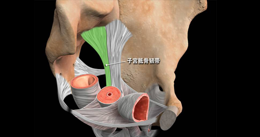  �ӹ������ʹ�